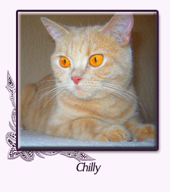Chilly