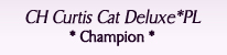 Curtis Cat Deluxe*PL