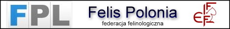Hodowla Kot�w Brytyjskich Domisie*PL - Polska Federacja Felinologiczna Felis Polonia