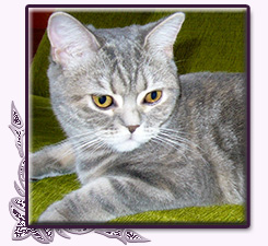 Ma�a Mi Domisie*PL 